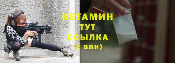 соль ск Пересвет