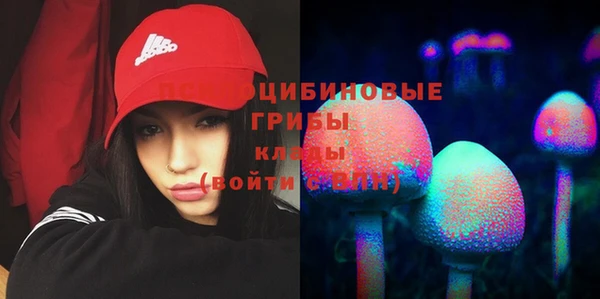 прущая мука Пестово