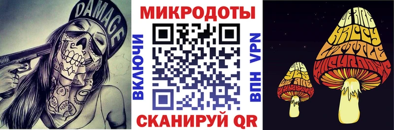 продажа наркотиков Кропоткин Галлюциногенные грибы Psilocybe